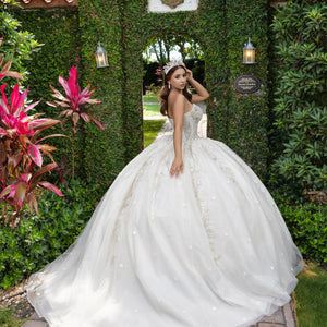 Applique Strapless Ball Gown by LizLuo Fiesta 56532