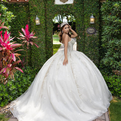 Applique Strapless Ball Gown by LizLuo Fiesta 56532