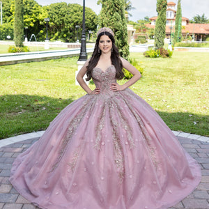 Applique Strapless Ball Gown by LizLuo Fiesta 56532