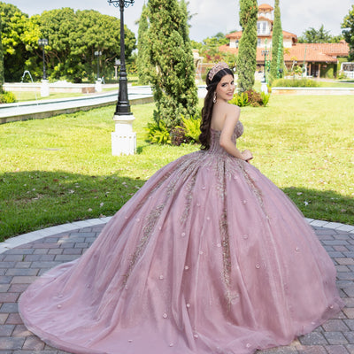 Applique Strapless Ball Gown by LizLuo Fiesta 56532