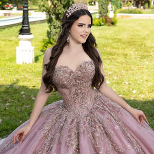 Applique Strapless Ball Gown by LizLuo Fiesta 56532