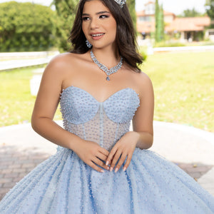 Strapless Corset Ball Gown by LizLuo Fiesta 56538