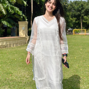 Sophia Organza Straight Kurta Set