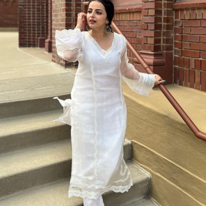Sophia Organza Straight Kurta Set