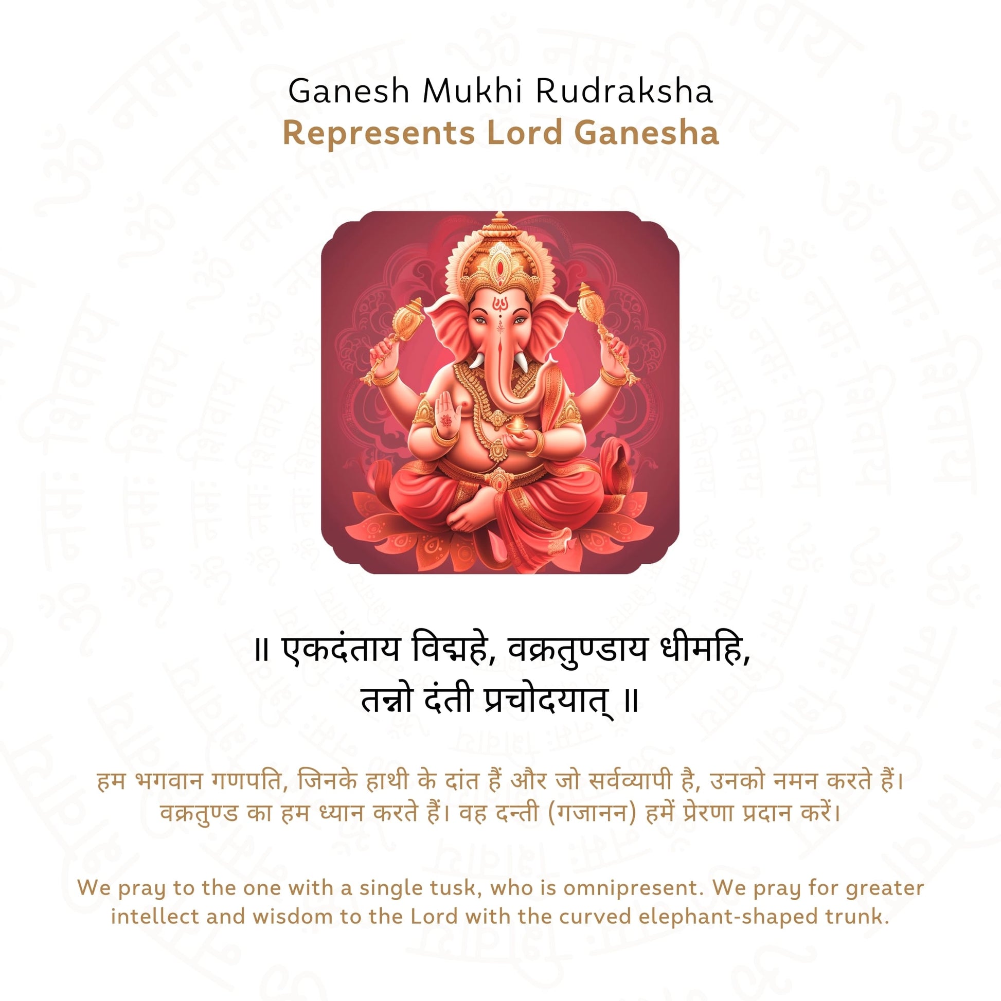 Ganesh 4 Mukhi Rudraksha (Nepali)