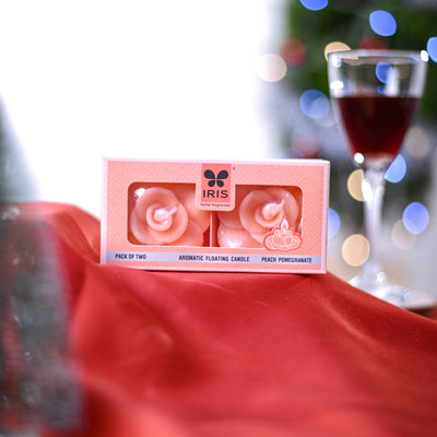 Jade Mini Plant Christmas Gift Hamper