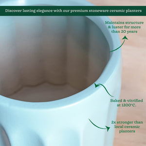 Blushing Sun Ceramic Planter