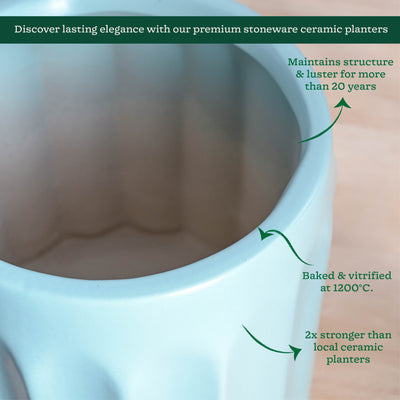 Blushing Sun Ceramic Planter