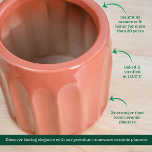 Blushing Sun Ceramic Planter