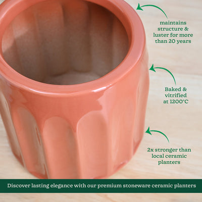 Blushing Sun Ceramic Planter