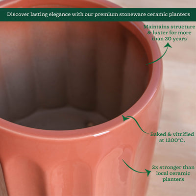 Blushing Sun Ceramic Planter