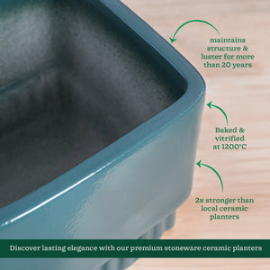 Immortal Nights Ceramic Planter