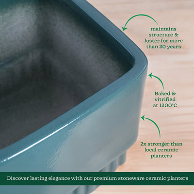 Immortal Nights Ceramic Planter