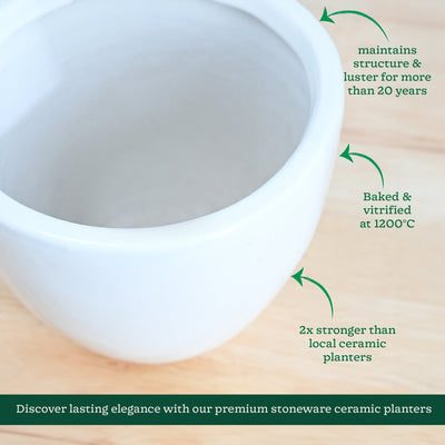 Echoing Eternity Ceramic Planter