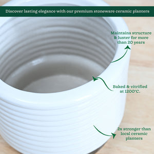 Untold stories Ceramic Planter