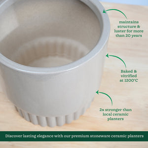 Immortal Nights Ceramic Planter