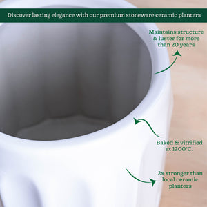 Blushing Sun Ceramic Planter