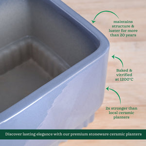 Immortal Nights Ceramic Planter