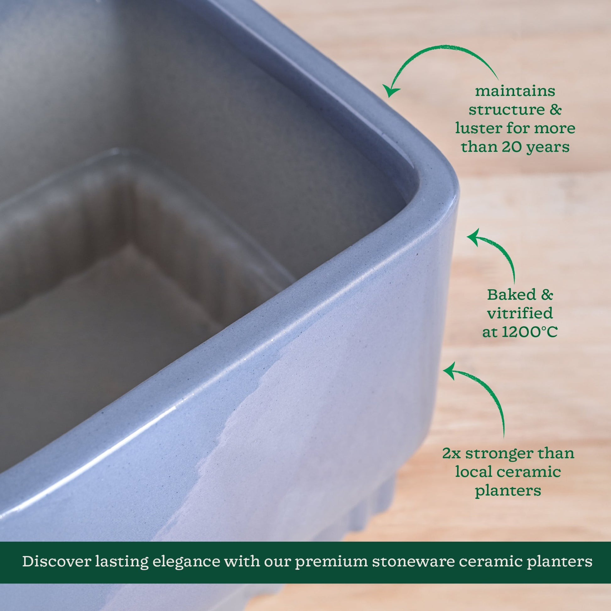 Immortal Nights Ceramic Planter