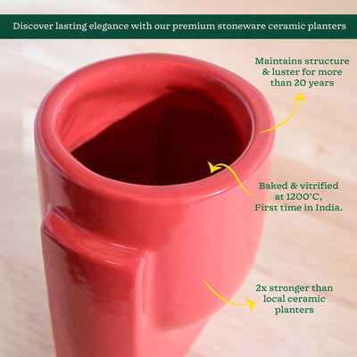 Cats are Gods Ceramic Planter