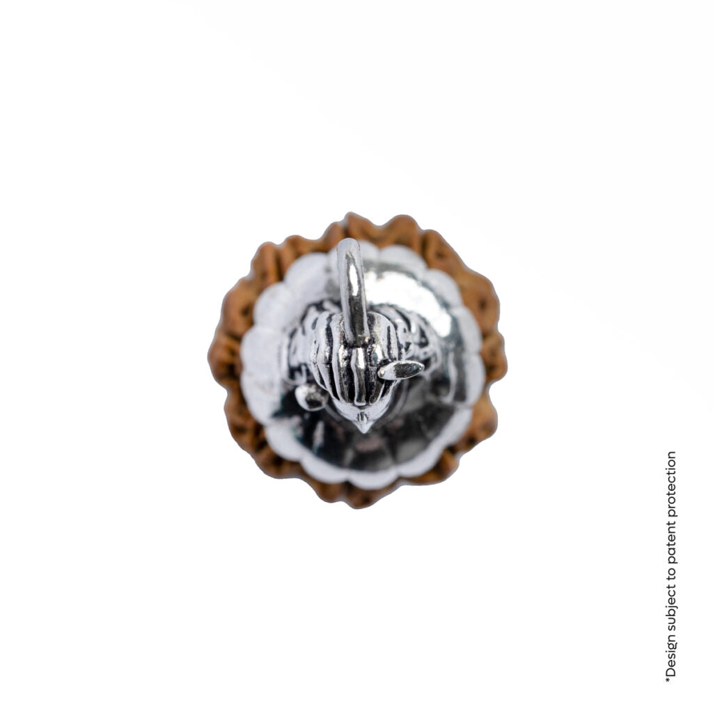 Adiyogi Pendant (8 Mukhi Nepali  Rudraksha) With Chain