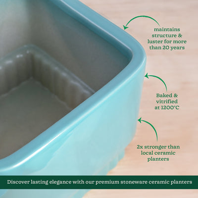 Immortal Nights Ceramic Planter