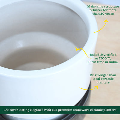 Soothing Rains Ceramic Planters