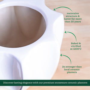 Tranquil Tales Ceramic Planter