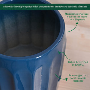 Blushing Sun Ceramic Planter