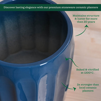 Blushing Sun Ceramic Planter