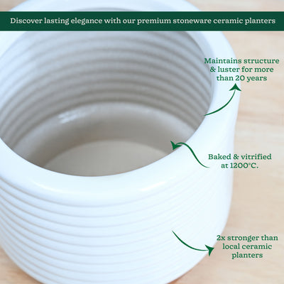 Untold stories Ceramic Planter