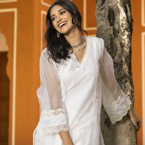 Sophia Organza Straight Kurta Set