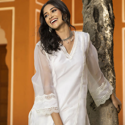 Sophia Organza Straight Kurta Set