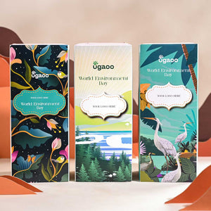 Haworthia Turgida For Environment Day Gifting