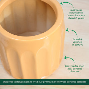 Blushing Sun Ceramic Planter