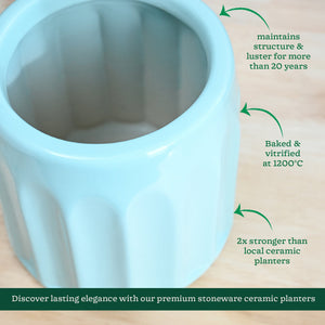 Blushing Sun Ceramic Planter