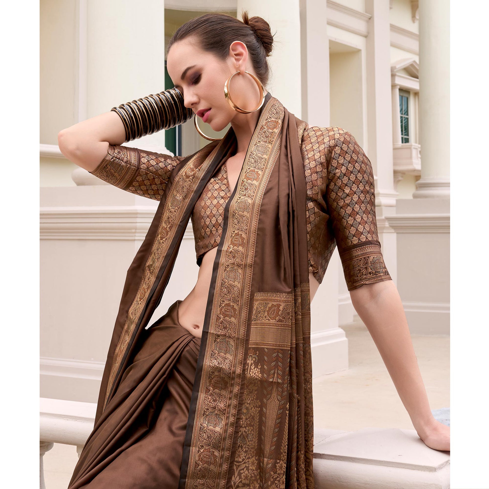 Brown Woven Banarasi Silk Saree With Zari Border