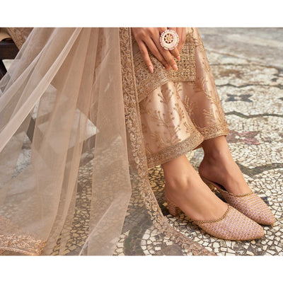 Chikoo Floral Embroidered Net Semi Stitched Suit