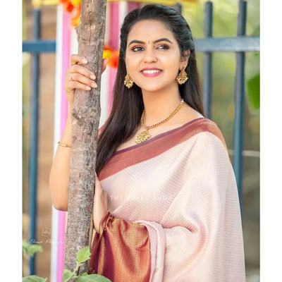 Chikoo Woven Banarasi Silk Saree