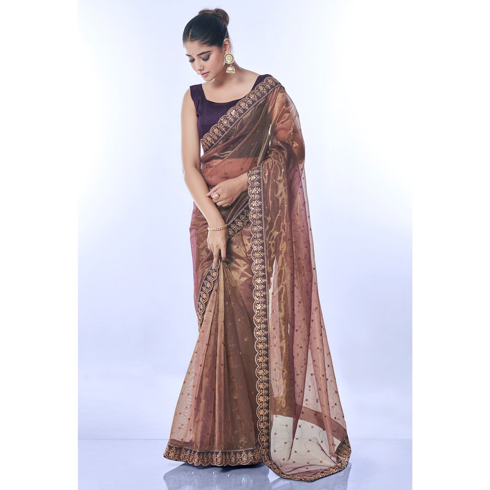 Brown Sequins Embroidered Net Saree