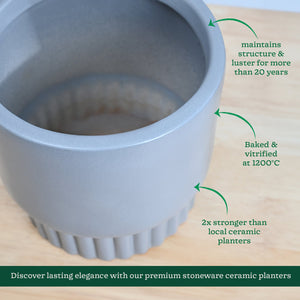 Immortal Nights Ceramic Planter