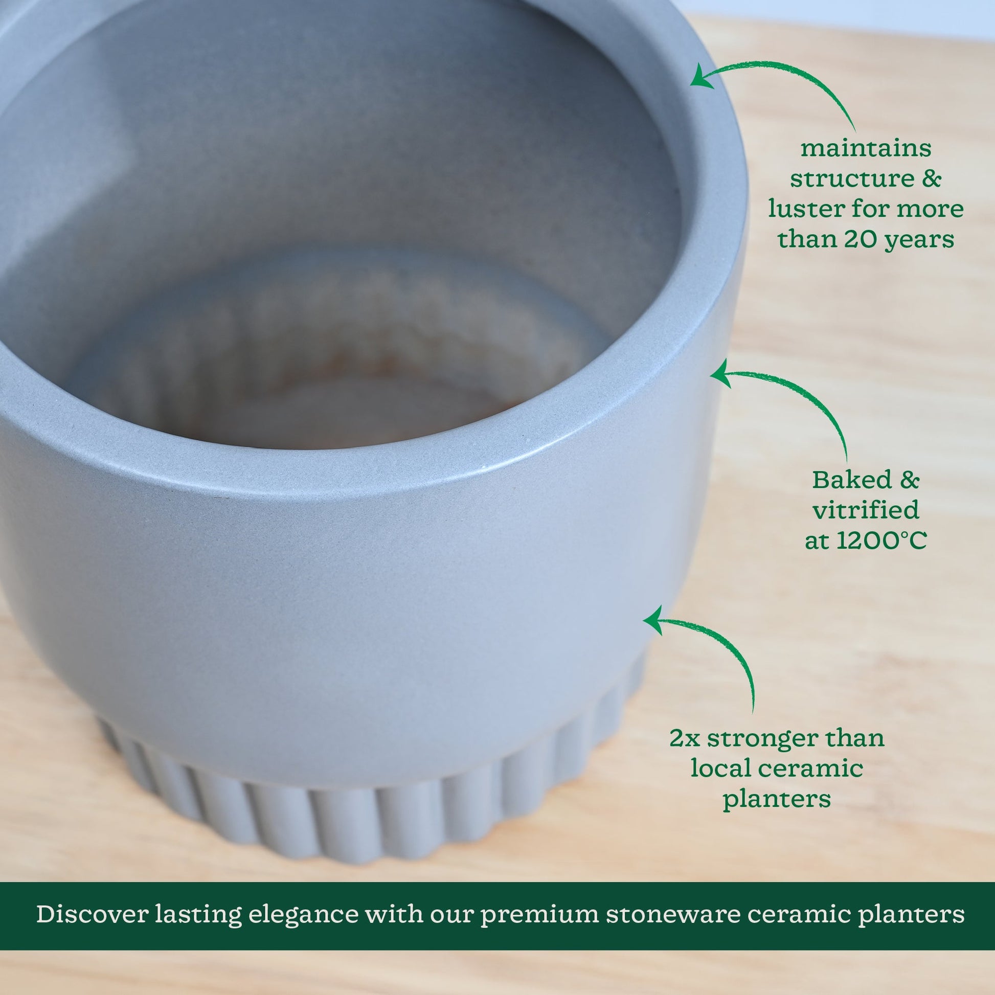 Immortal Nights Ceramic Planter