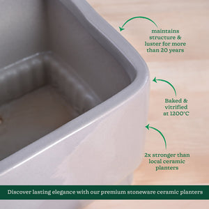 Immortal Nights Ceramic Planter