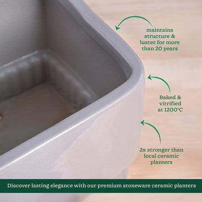 Immortal Nights Ceramic Planter