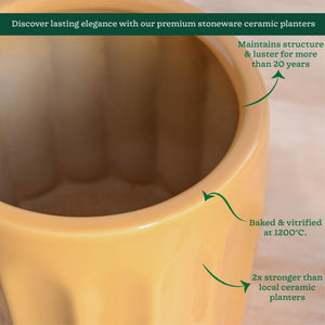 Blushing Sun Ceramic Planter