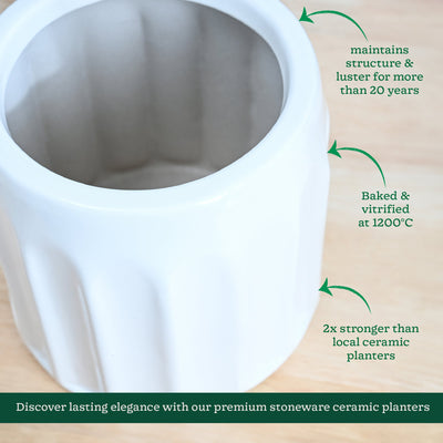 Blushing Sun Ceramic Planter