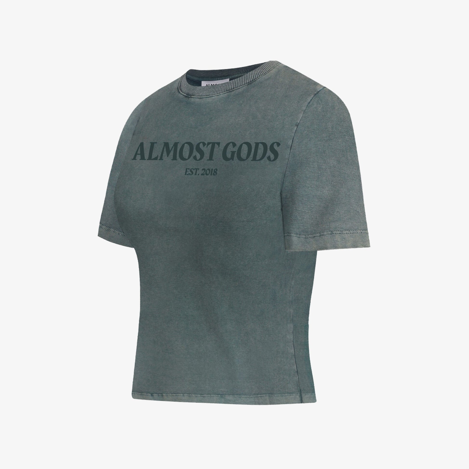 ALMOST GODS | STONEWASHED ALMOST GODS TEE IN GRANITE { GREY/CBLACK