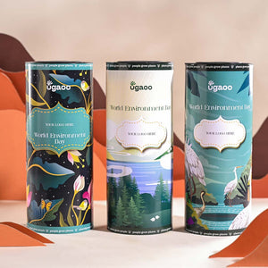 Money Plant Golden For Environment Day Gifting