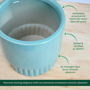 Immortal Nights Ceramic Planter