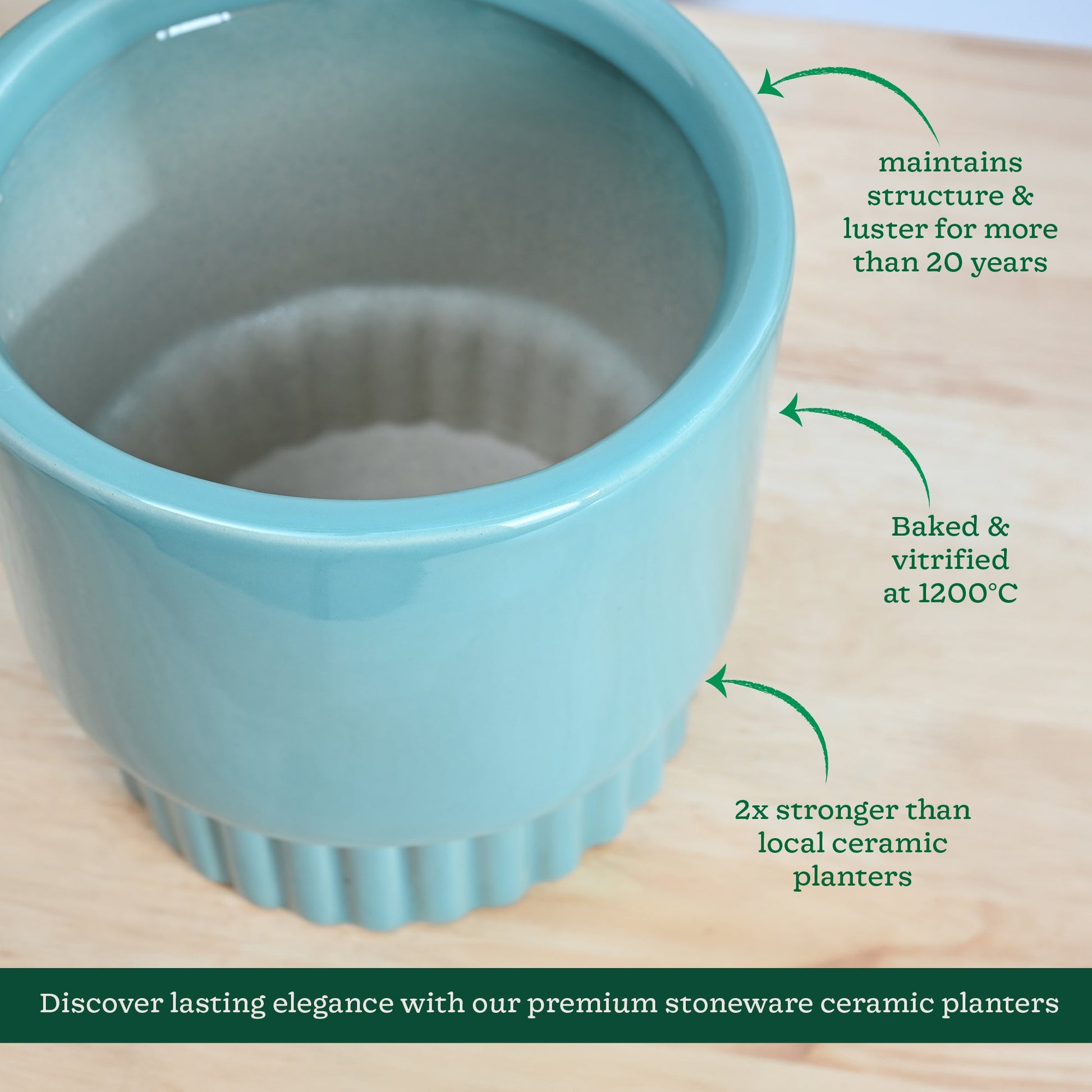 Immortal Nights Ceramic Planter